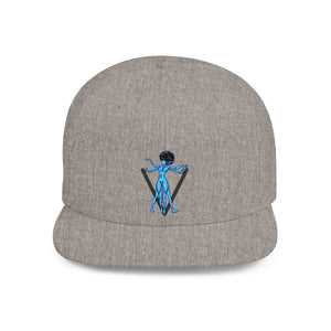 Copy of Flat Bill Snapback